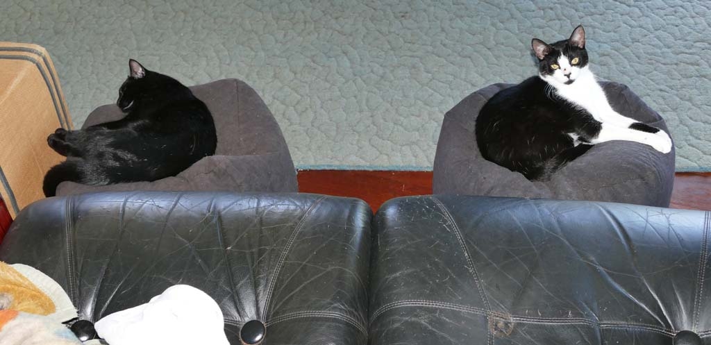 Two of us.jpg