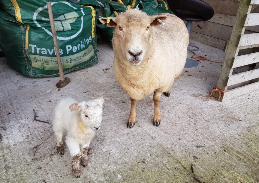 Unexpected arrival.jpg