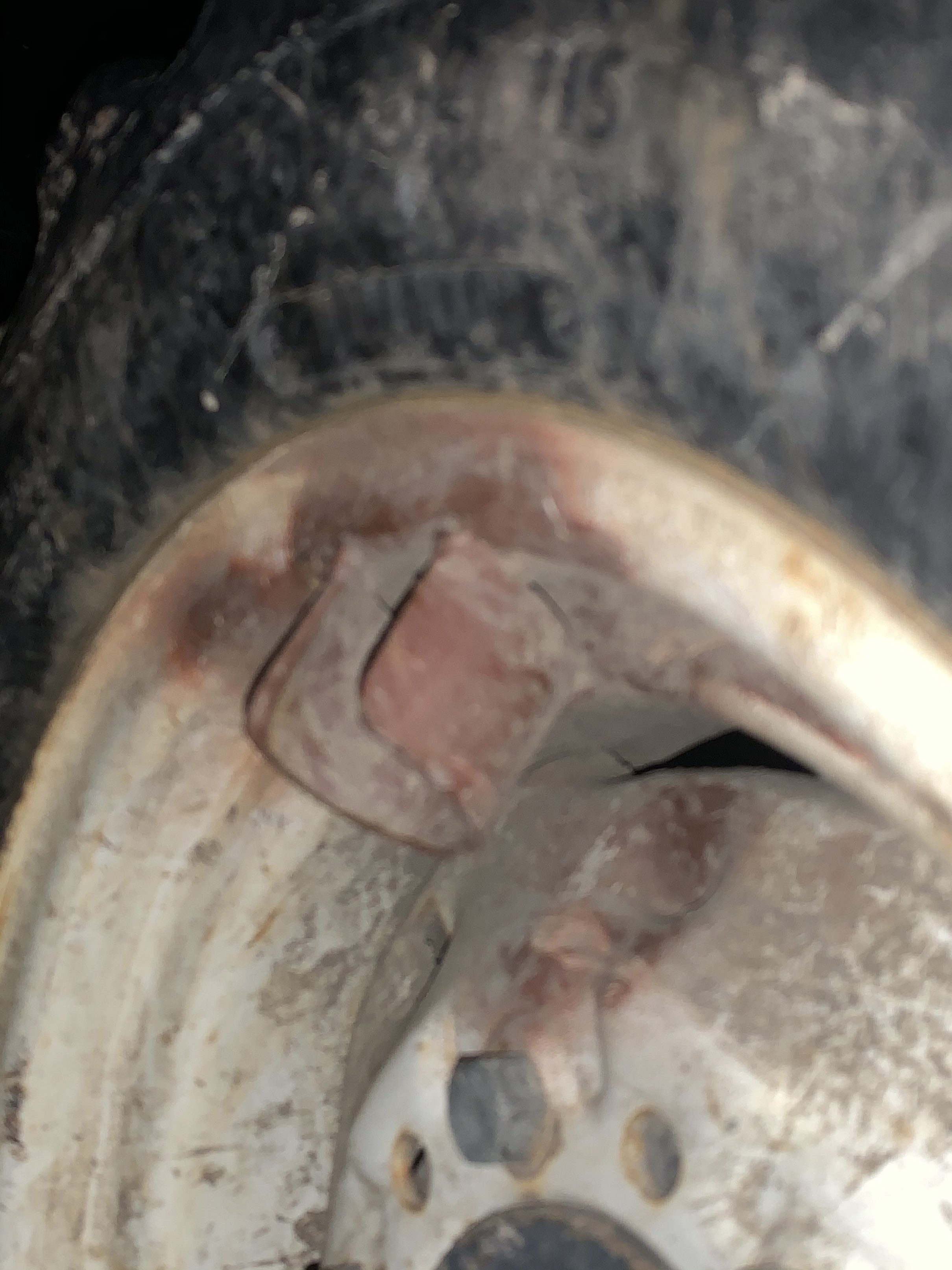 valve stem protector2.jpg