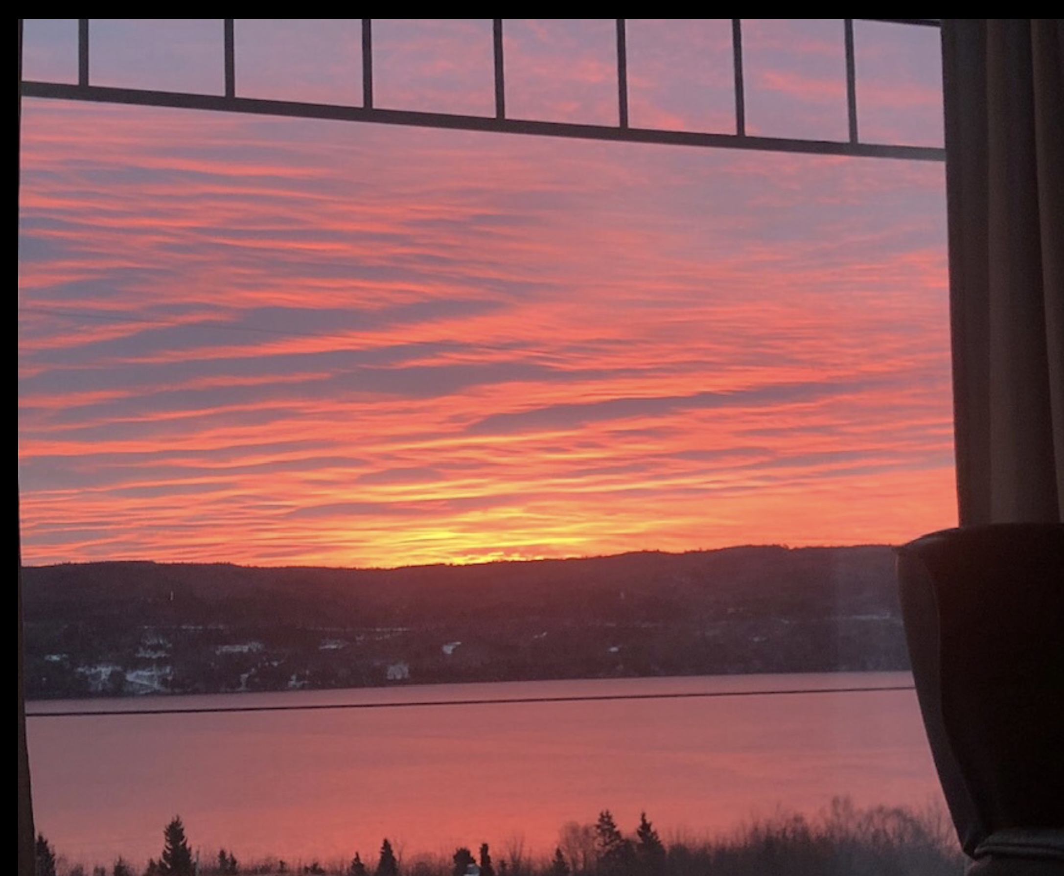 view from my couch.jpg