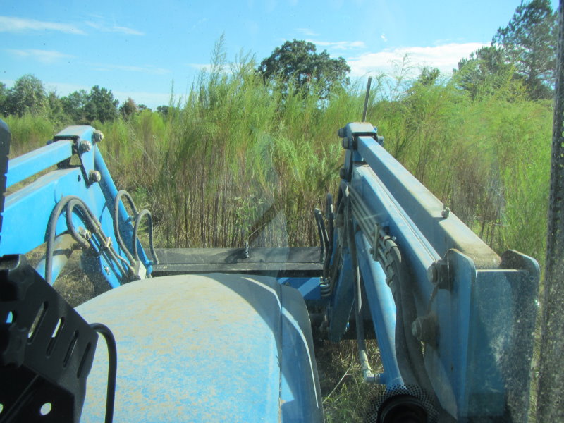 View from the tractor.jpg