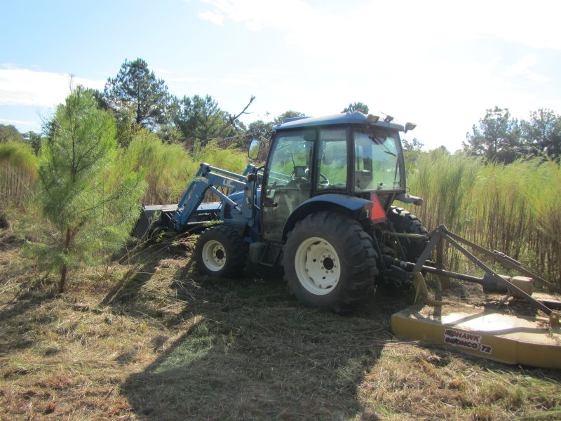 What I'm mowing 2.jpg