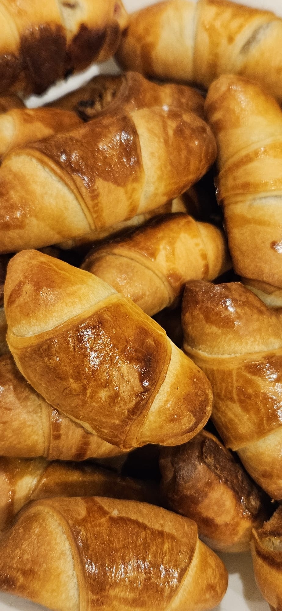 WhatsApp Image 2023-12-24 at 17.28.32.jpeg