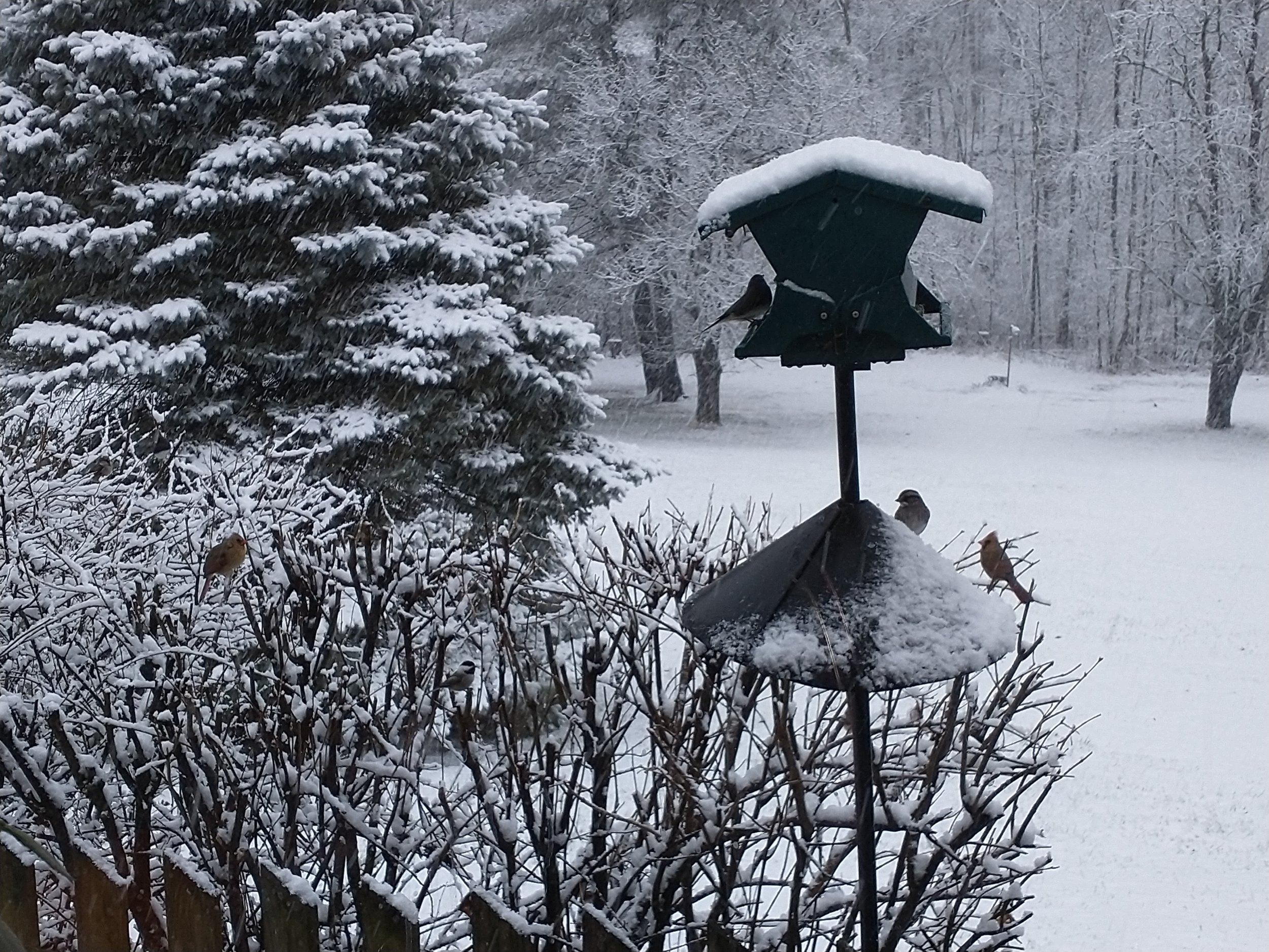 window view 20Jan23.jpg