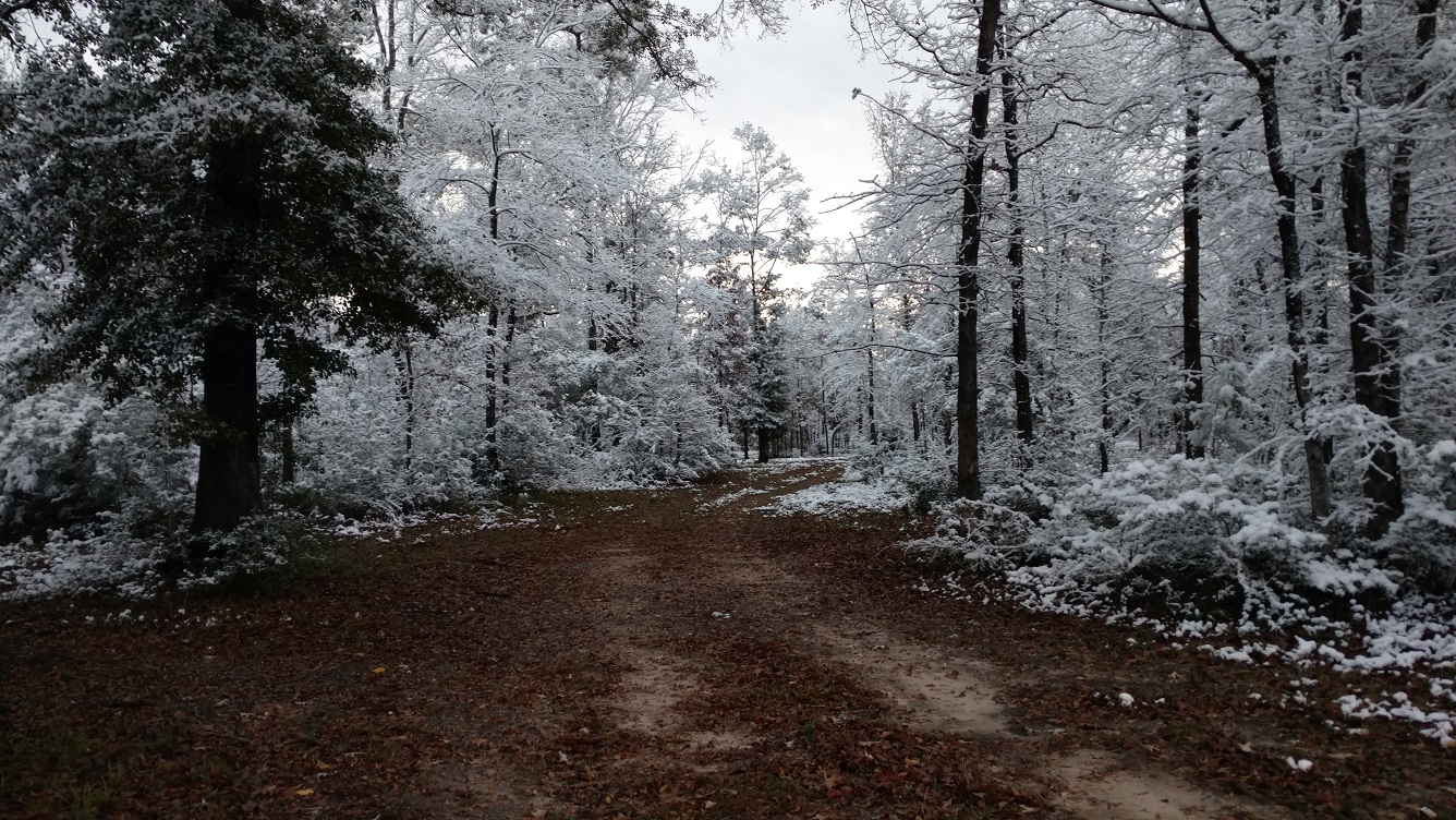 Winter weather 2.jpg