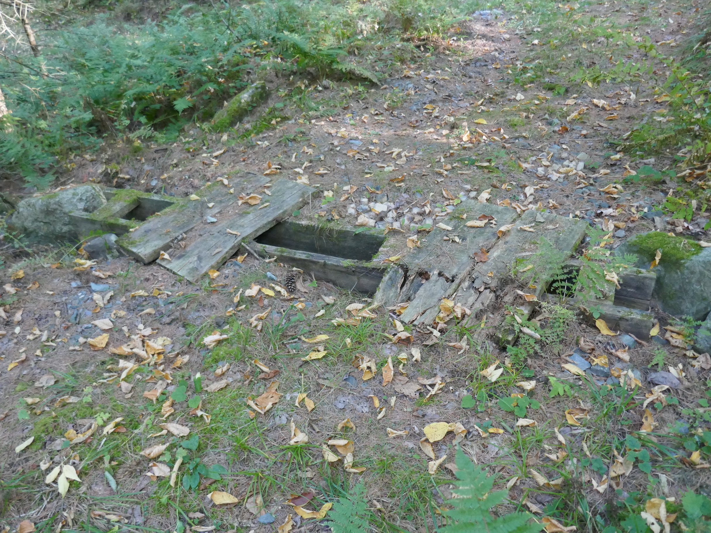 WoodCulvert7.JPG