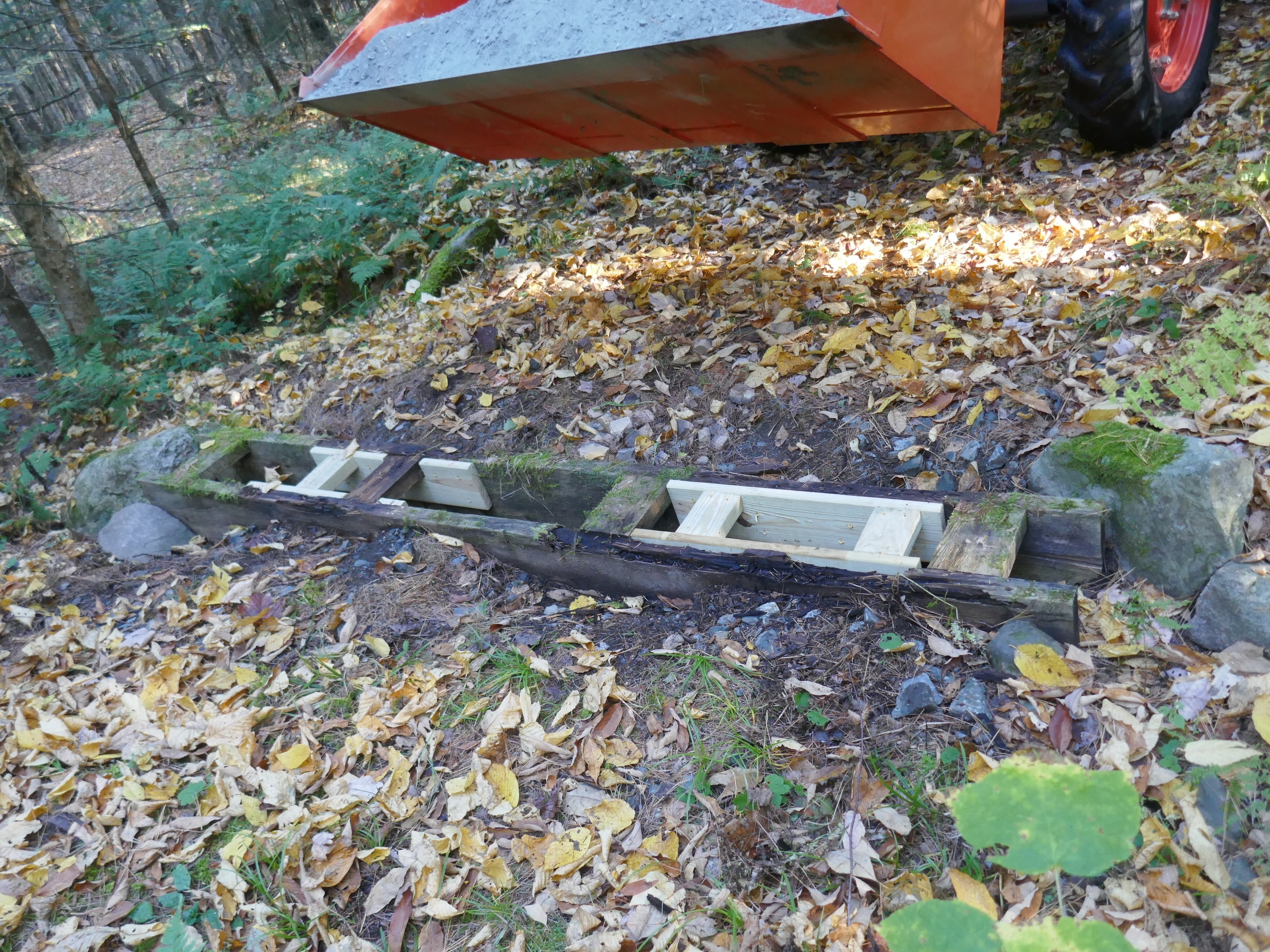 WoodCulvert8.JPG