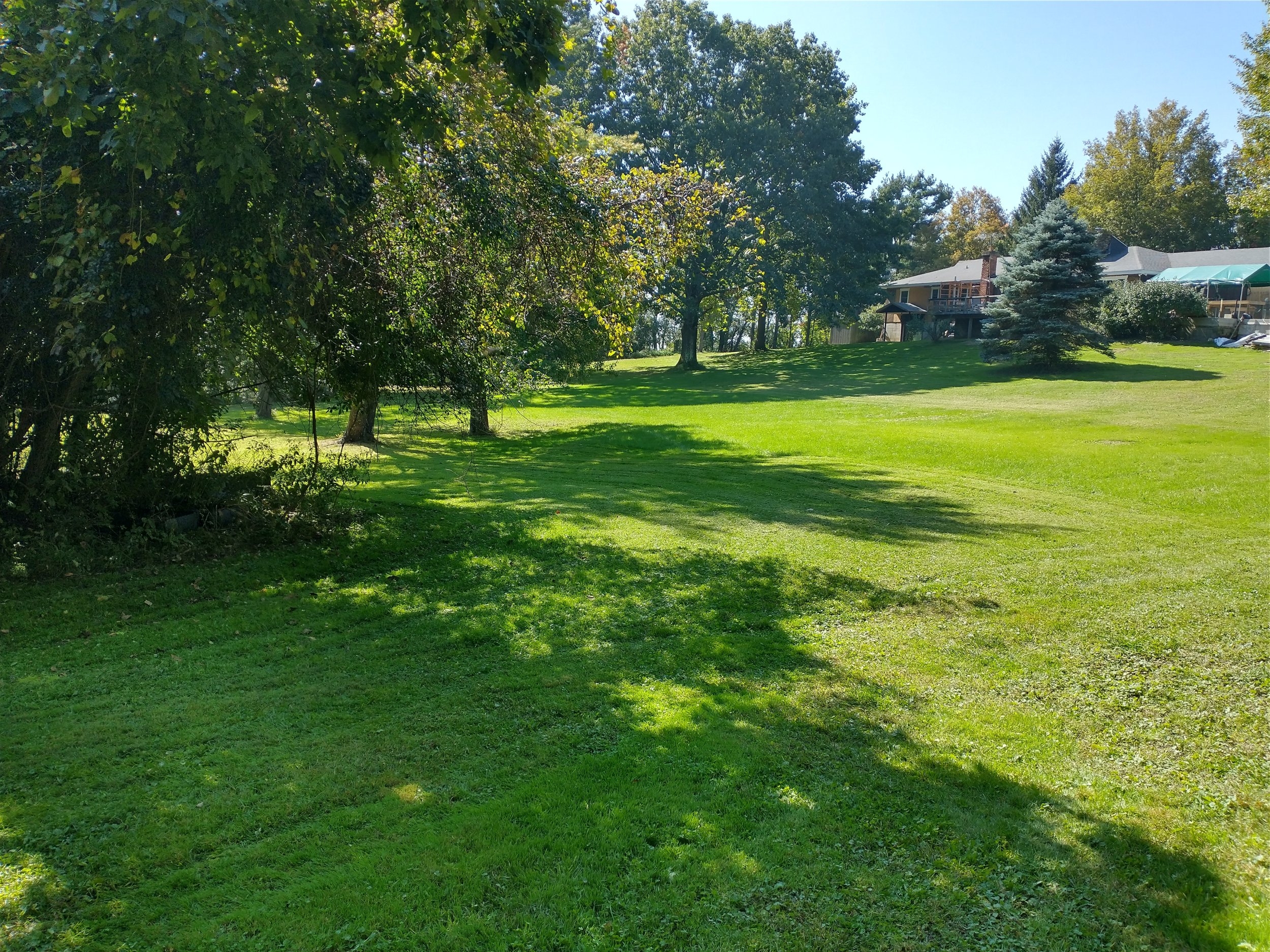 yard 1 10 1 2023.jpg