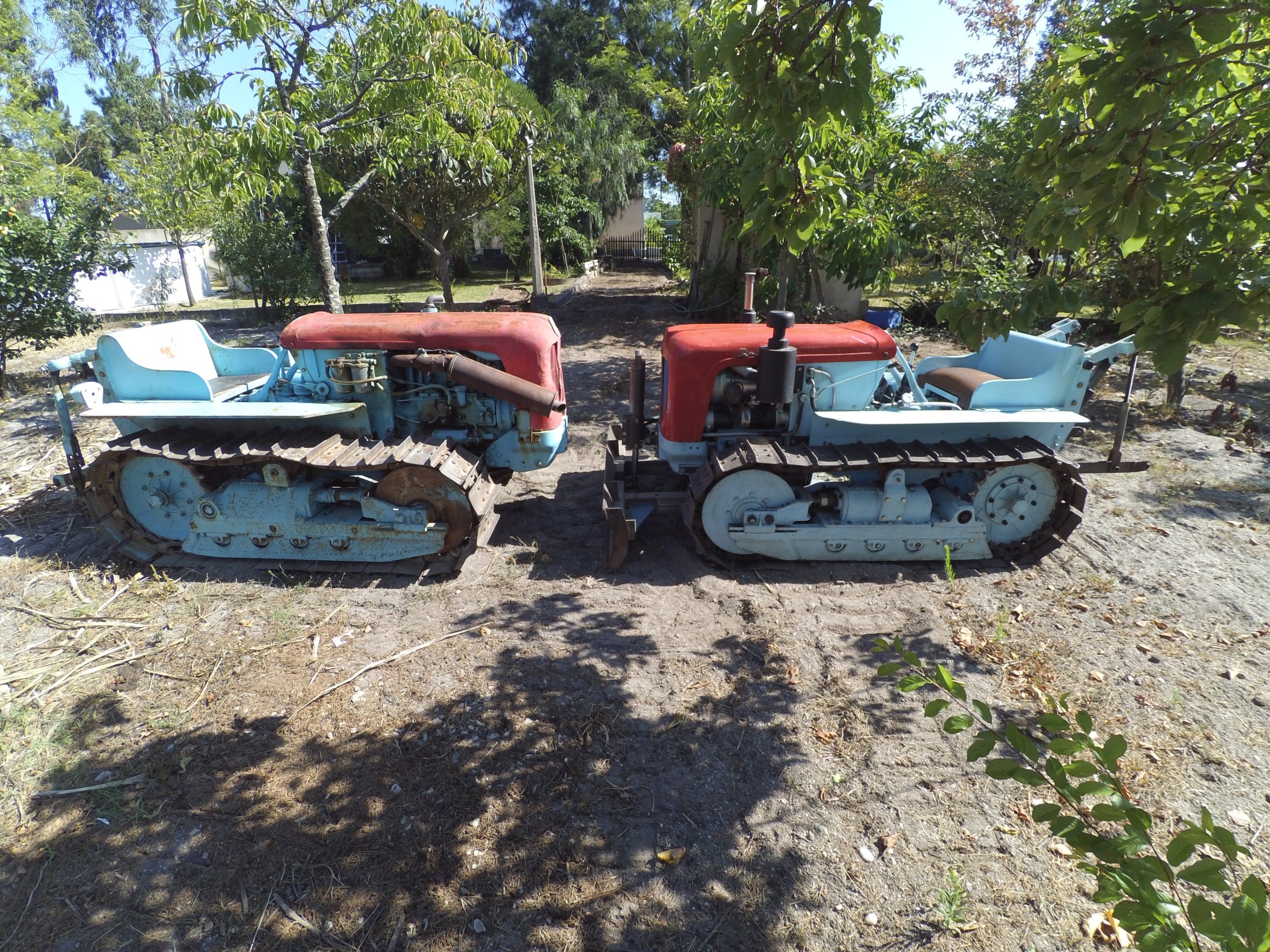 YDXJ0542.jpg