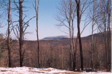 8-26957-myview.gif