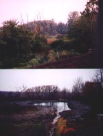 35-158238-beforeafterpond.JPG