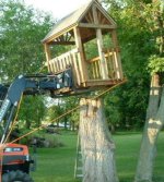 304273-Tree House 4.JPG