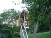 304275-Tree House 7.JPG