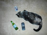 306911-Felixdrunk.JPG