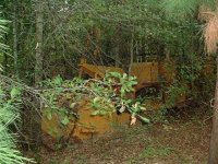 308239-Found 02.jpg