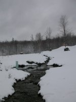 259411-April_snow_upperbrook.jpg