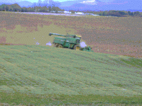 35-213750-DeereSeason50.gif