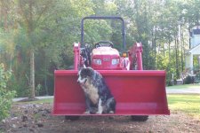 310476-New Mahindra 2810 007.jpg