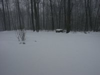 35-214634-SnoeDriveway.jpg