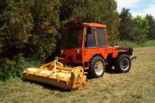 283508-IM000844autolevelsmall.JPG
