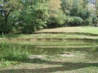 33-185380-pond1.jpg