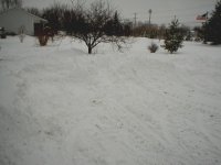 236798-Snow1.JPG