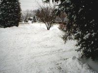 236800-Snow3.JPG
