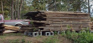 329155-1200BFMaple.JPG