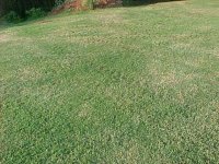 284001-lawn.jpg