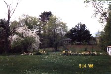 284411-LandMay2.JPG