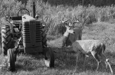 10-65338-Untitled-Grayscale-01.jpg