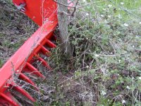 233932-2Treegetter going after the root.JPG
