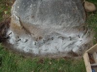 238391-2.jpg