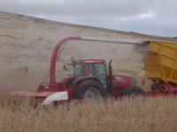 MTX 185 Reversed Poppy Harvesters 001.jpg