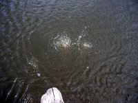 DSCN4317.jpg