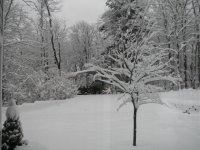 Carport.JPG
