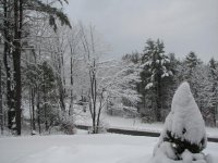 winter.JPG