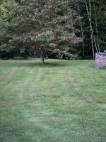 IMG_4136.jpeg
