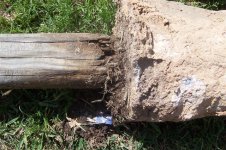 Fence Post rotted out at the base..jpg