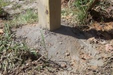 Fence Post with cement crowned..jpg