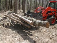 DSCN1629.JPG