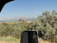 IMG_3654[1].JPG