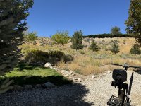 IMG_3659[1].JPG