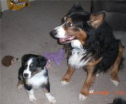 PICT0001.JPG