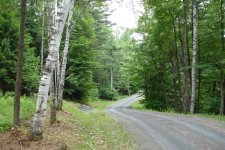 Driveway 3.jpg
