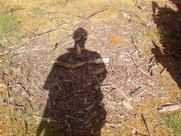 Stuff_to_rake2 (Medium).jpg