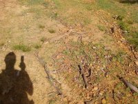 Stuff_to_rake (Medium).jpg