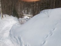 2008_0314picshill0117.JPG