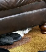 IMG_0043.jpeg