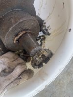 IMG_4185.jpeg